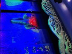 -勐巴拉娜西大剧院