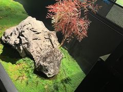 -杭儿风餐厅(嘉里中心店)