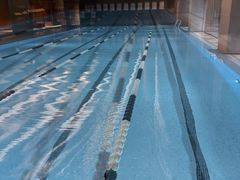 -重庆市奥林匹克体育中心-游泳跳水馆