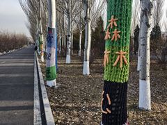 -乌素图国家森林公园