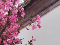 -陶然亭公园