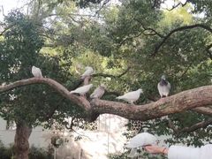 -圆通寺