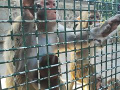 -南京金牛湖风景区