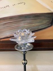 -咪咪比基尼脱毛专业店