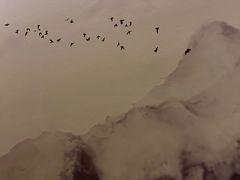 -华夏良子·足道SPA艾灸(中关村旗舰店)
