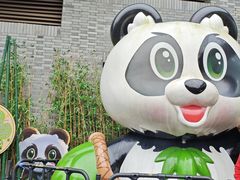 -都江堰中华大熊猫苑