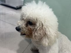 -佳雯宠物医院·皮肤科·内外科(春晓路分院)