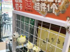 -御上皇三汁焖锅(薛城万达广场店)