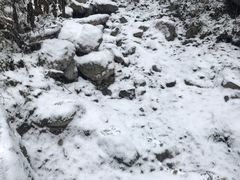 -西岭雪山大飞水景区