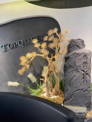 -TOP HAIR SALON