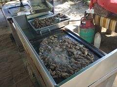 -东姑阿都拉曼海洋公园