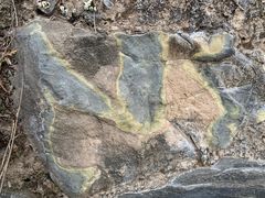 -北京鹫峰国家森林公园