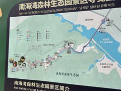 -南海湾森林生态园