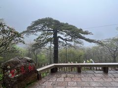 -黄山风景区