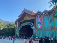 -西双版纳原始森林公园