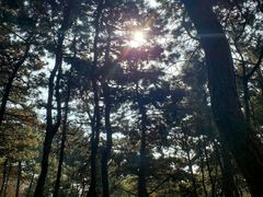 -红螺寺