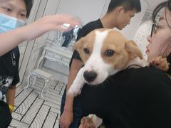-白夜2D咖啡馆