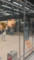 -G-STEPS舞蹈工作室