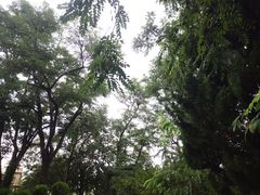 -烟台山景区