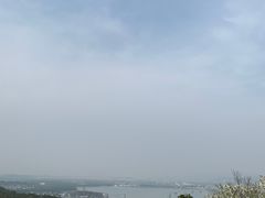 -香雪海