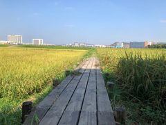 -光明小镇欢乐田园