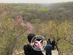 -大青沟风景区