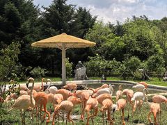 -哈尔滨北方森林动物园