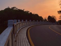 -深圳仙湖植物园