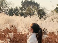 -梁鸿国家湿地公园