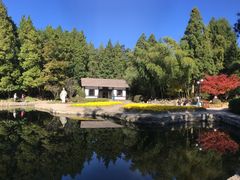 -庐山风景区花径公园