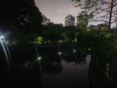 -晓港公园
