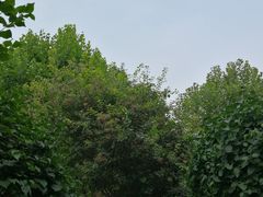 -前关湿地公园