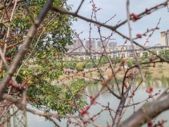 -枫香湖儿童公园