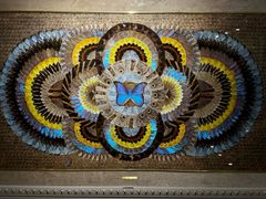 -上海昆虫博物馆