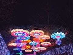 -北戴河集发农业梦想王国