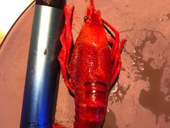 -钳小柒·小龙虾蓝龙王烧烤夜宵(长寿路店)