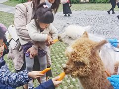 -南宁荔园维景国际酒店·荔园中餐厅