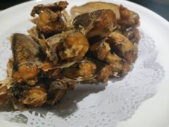 -熠盛粤味·顺德桑拿鸡(永康路店)