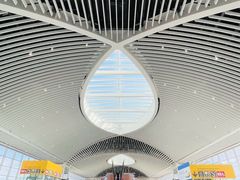 -罗马钱皮诺机场