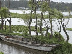 -洱海月湿地公园
