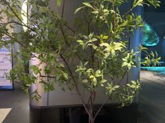 -漫·汤泉