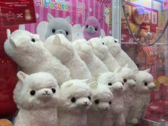 -LLJ夹机占(清河万象汇店)