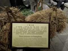 -陈李济中药博物馆