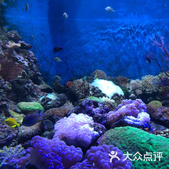 海滨城浩海立方海洋馆