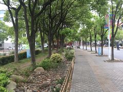 -美兰湖景区