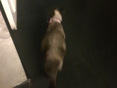 -吱咖啡西式简餐