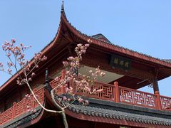 -堤角公园