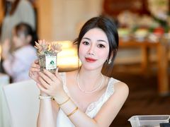 -常州武进九洲喜来登酒店