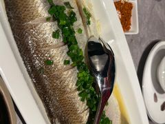 -大秦小宴•新派西北(万象前海店)