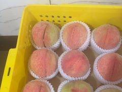 -老袁家蜜桃农场·阳山水蜜桃